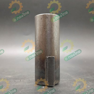 ปีกกา จำปาปีก (ตัวผู้) จำปาท่อนาค ท่อสูบน้ำ ท่อพญานาค ปั๊มหาง