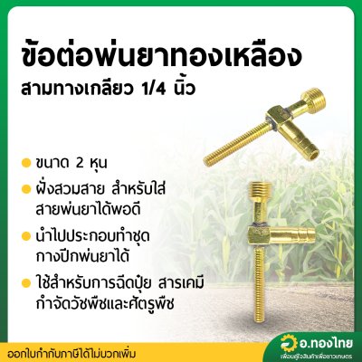 งอท้ายสายพ่นยา ข้อต่อสายพ่นยา 3 ทาง ติดรถไถ เกลียว 2 หุน (1/4 นิ้ว) - ทองเหลือง