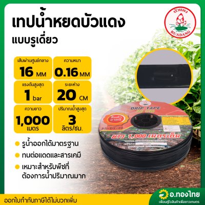 เทปน้ำหยด สายน้ำหยด 20 cm ยาว 1000 เมตร 20x1000 หนา 0.16 ยี่ห้อ Buadang บัวแดง