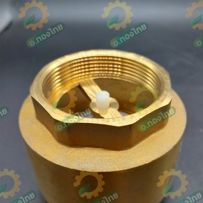 เช็ควาล์วตั้ง เช็ควาล์วสปริง วาล์วกันย้อน ทองเหลือง ขนาด 2 1/2 นิ้ว ยี่ห้อ ANA