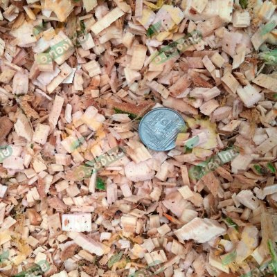 เครื่องย่อยกิ่งไม้และใบไม้ (พลังไทย)