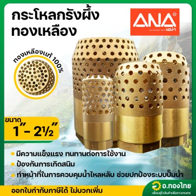 กระโหลกรังผึ้ง ทองเหลือง ขนาด 1" - 2 1/2"  (1นิ้ว-2.5นิ้ว) (ANA)