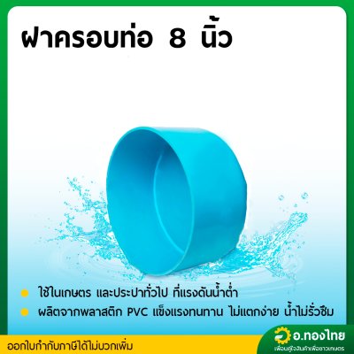 ฝาครอบ PVC ฝาปิดปลายท่อ ขนาด 8 นิ้ว หนา 8.5 (S)
