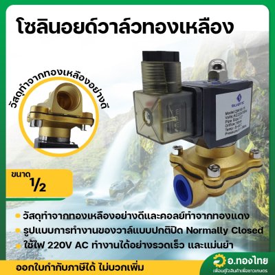 โซลินอยด์วาล์วทองเหลือง (Solenoid Valve) ขนาด 1/2 นิ้ว (4 หุน) AC220V (Sivertec)