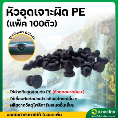 ตัวอุด PE ปลั๊กอุดซ่อม หัวอุดเจาะผิด PE ขนาด 3 มม. จำนวน 100 ตัว