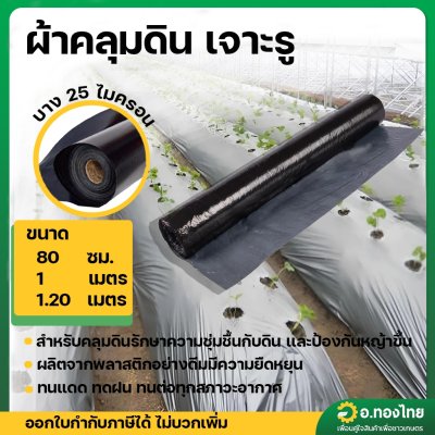 พลาสติกคลุมดิน ผ้าคลุมดิน (เจาะรู) ขนาด กว้าง 80 CM. 100 CM. 120 CM. x 400 หลา หนา 25 ไมครอน สีดำ