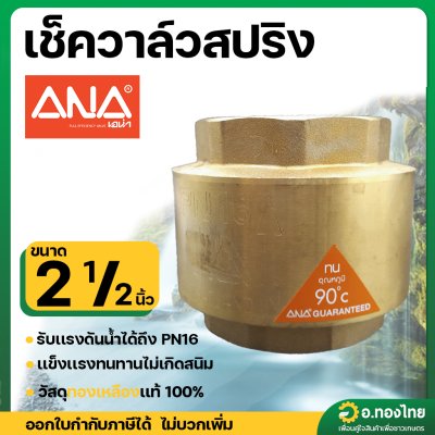 เช็ควาล์วตั้ง เช็ควาล์วสปริง วาล์วกันย้อน ทองเหลือง ขนาด 2 1/2 นิ้ว ยี่ห้อ ANA