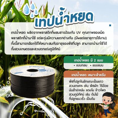 เทปน้ำหยด สายน้ำหยด เนต้าฟิม netafim 30 cm 1000 m. (รุ่นใหม่ stream line x)