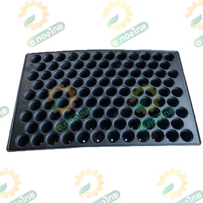 ถาดเพาะกล้า ถาดเพาะชำ ขนาด 104 หลุมกลม