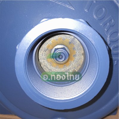 ปั๊มหอยโข่ง ปั๊มน้ำไฟฟ้า 2 นิ้ว 2 แรง ใบพัดทองเหลือง ยี่ห้อ TORQUE รุ่น TCP200