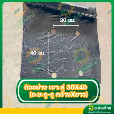 พลาสติกคลุมดิน ผ้าคลุมดิน (เจาะรู) ขนาด กว้าง 80 CM. 100 CM. 120 CM. x 400 หลา หนา 25 ไมครอน สีดำ