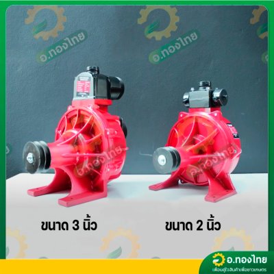ปั๊มน้ำเพลาลอย ปั๊มเพลาลอยมิเนียมแรงดันสูง [2ใบพัด] ขนาด 2 นิ้ว รุ่น : SUPER-SU-50 (คละยี่ห้อ)
