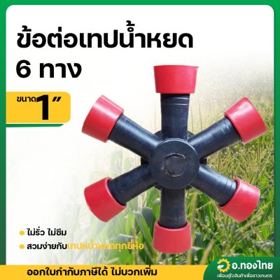 ข้อต่อ 6 ทาง ข้อต่อแยกเทปน้ำหยด เกลียวใน 1 นิ้ว*16 มม. (แบบดีงล็อค) สีแดง