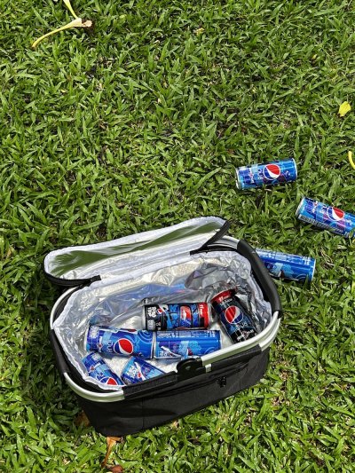 Picnic basket with temperature prevention