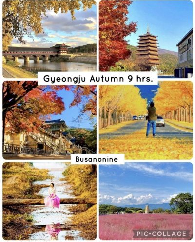 ทัวร์คยองจูส่วนตัวจากปูซาน ชมใบไม้เปลี่ยนสีที่วัดพุลกุกซา
