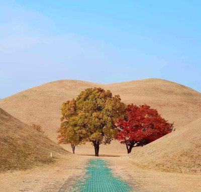 สุสานหลวงแทนึงวอน เมืองคยองจู ประเทศเกาหลีใต้