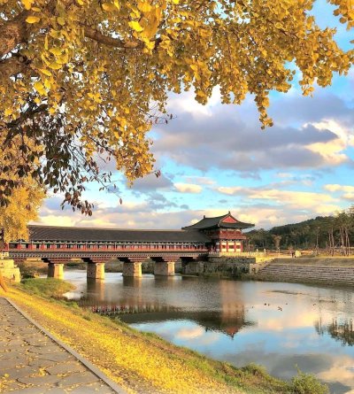 Gyeongju Autumn Tour ทัวร์คยองจู ใบไม้เปลี่ยนสี พร้อมรถเช่า VIP
