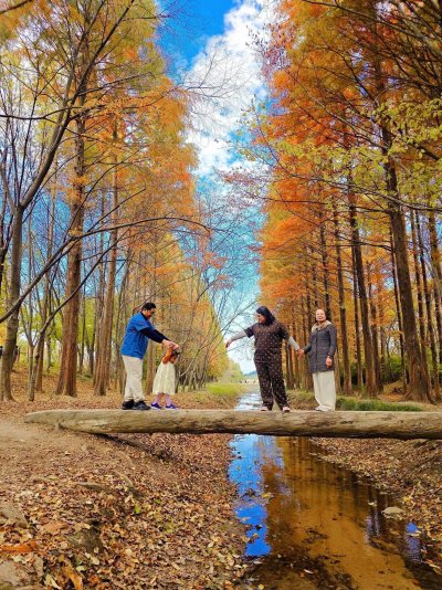 Gyeongju Autumn Tour ทัวร์คยองจู ใบไม้เปลี่ยนสี พร้อมรถเช่า VIP