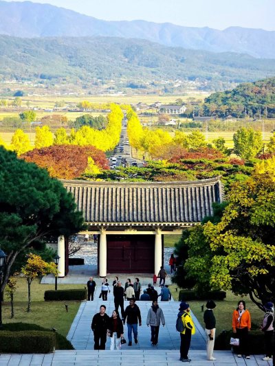 Gyeongju Autumn Tour ทัวร์คยองจู ใบไม้เปลี่ยนสี พร้อมรถเช่า VIP