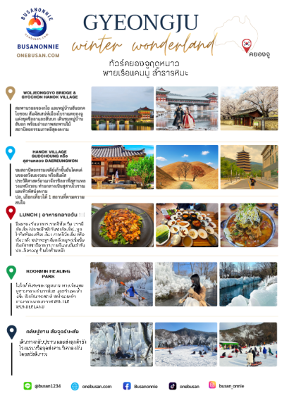 Gyeongju Winter Wonderland ทัวร์คยองจูฤดูหนาว Kookmin Healing Park รถตู้ VIP จากปูซาน (9 ชม.)