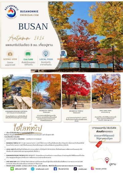 Busan Autumn Tour Private