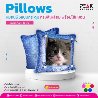 หมอนพิงแบบกระดุม_พร้อมไส้_ขนาดทั้งใบ_14_นิ้ว_มี_5_สี
