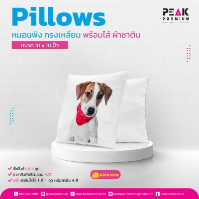 หมอนพิงทรงเหลี่ยม_พร้อมไส้_ผ้าซาติน_10_x_10_นิ้ว
