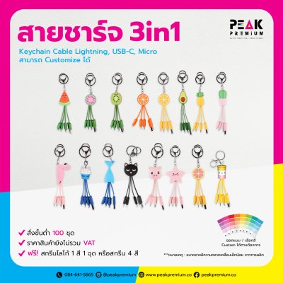 15_PM_CAB_009_สายชาร์จ_3in1_KeyChain_Cable