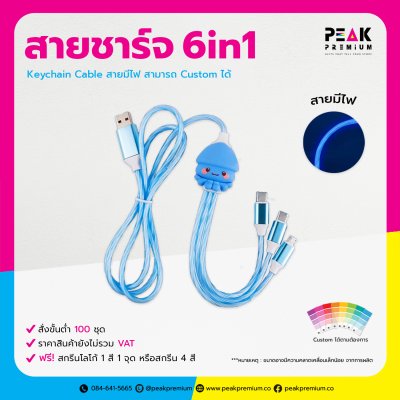 19_PM_CAB_080_Dual_Input_6in1_Key_Chain_มีไฟ