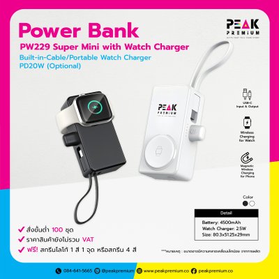 B31_PW229_Powerbank