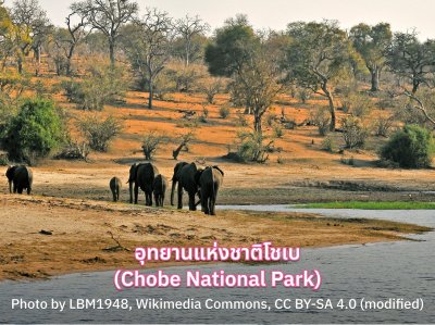 อุทยานแห่งชาติโชเบ (Chobe National Park)