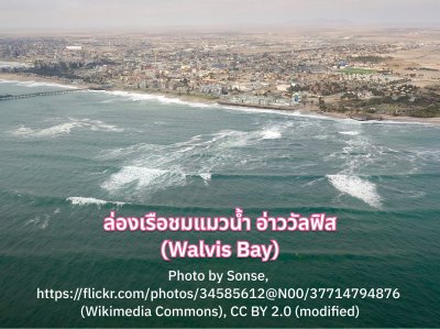 ล่องเรือชมแมวน้ำ อ่าววัลฟิส (Walvis Bay)