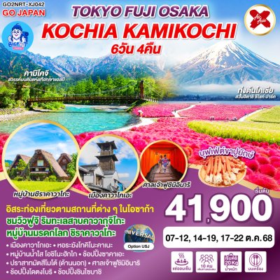 ทัวร์โตเกียว โอซาก้า ชิราคาวาโกะ ฟูจิ คามิโคจิ 2568