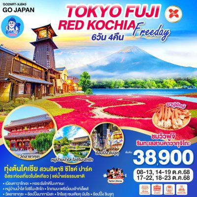 ทัวร์ญี่ปุ่น โตเกียว ดิสนีย์แลนด์ ตุลาคม 2568