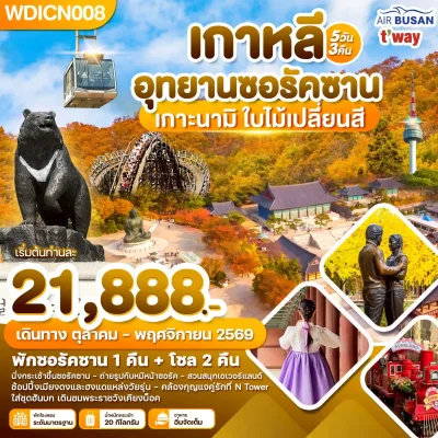 ทัวร์เกาหลี เกาะนามิ Everland