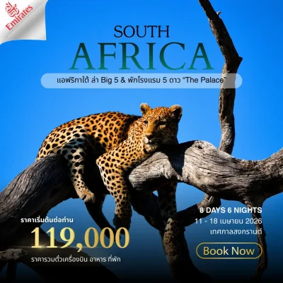 ทัวร์แอฟริกาใต้ Pilanesberg Safari 8 วัน 6 คืน บิน Emirates