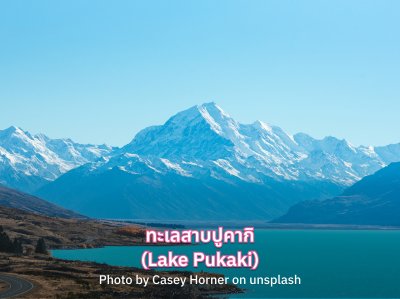 รีวิว ทะเลสาบปูคากิ นิวซีแลนด์