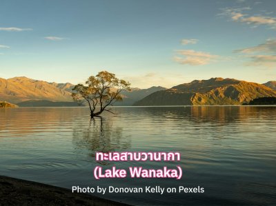 ที่เที่ยว นิวซีแลนด์ ทะเลสาบวานากา 