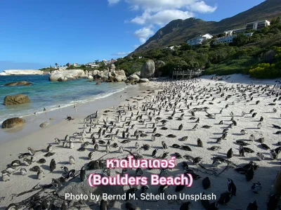 หาดโบลเดอร์ (Boulders Beach)