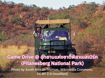 South Africa Game Drive