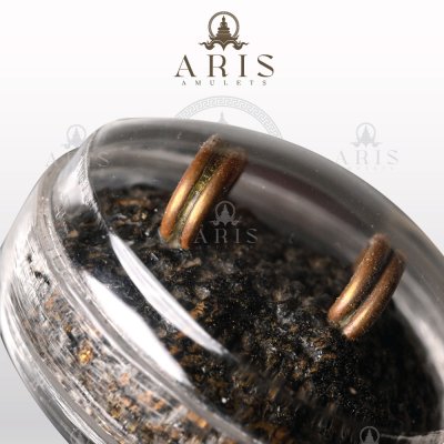 เบี้ยแก้หลวงปู่เจือ วัดกลางบางแก้ว