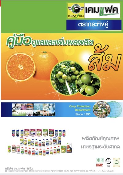 คู่มือดูแลและเพิ่มผลผลิต ส้ม