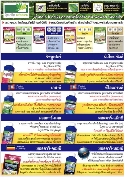 คู่มือดูแลและเพิ่มผลผลิต ส้ม