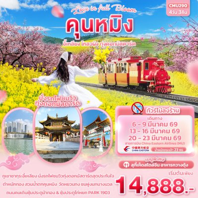 ทัวร์จีน คุนหมิง อี้เหลียง โหลวผิง ทุ่งดอกมัสตาร์ด 4วัน 3คืน บินMU เดินทาง มีนาคม 69 ราคาเริ่ม 14,888 บาท