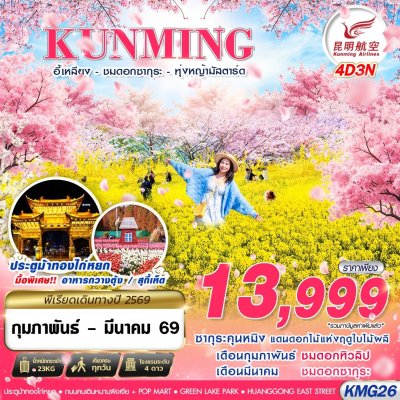 ทัวร์จีน KUNMING  อี้เหลียง - ชมซากุระ - ทุ่งหญ้ามัสตาร์ด  4D3N บินKY เดินทาง กุมภาพันธ์ - มีนาคม 69 ราคาเพียง 13,999 บาท