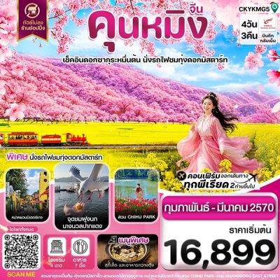 ทัวร์จีน คุนหมิง อี้เหลียง โหลผิง สวนดอกไม้ ไม่ลงร้าน 4 วัน 3 คืน บินKY เดินทาง ก.พ.-มี.ค. 70 ราคาเริ่ม  16,899 บาท