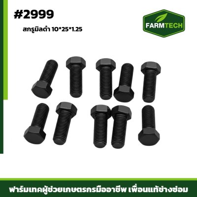Zสกรูมิลดำ 10*25*1.25