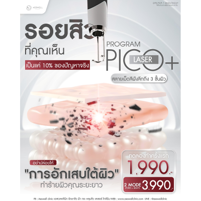 โปรแกรม Pico Laser