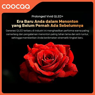 Coocaa 50Q66H 4K QLED+ Google TV