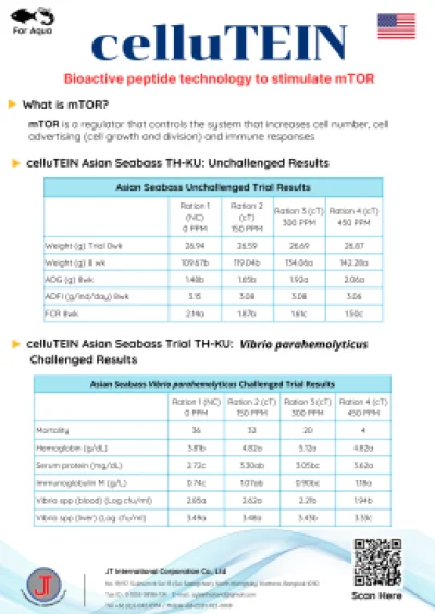celluTEIN _ Feed additives